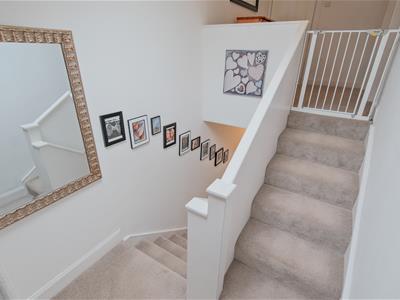 Picture 31